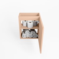 Toilet Onderkast Fowy Rosee Google 4 0002-1