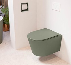 Wall hung toilets