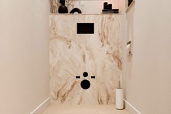 Toiletplaat