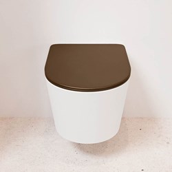 Wall hung toilet